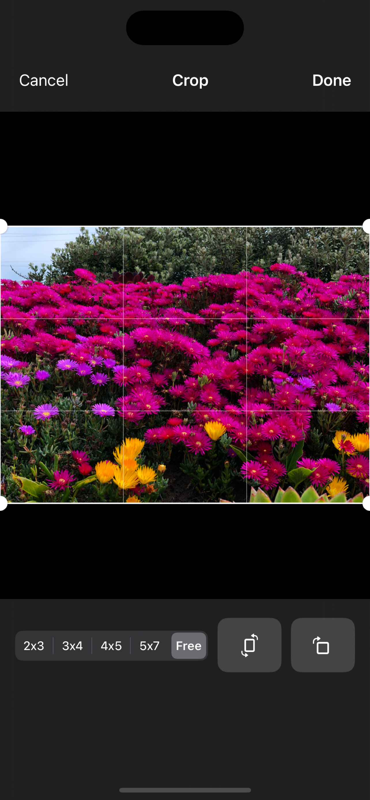 Venn Photo app crop tool with aspect ratio presets